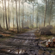 Illustration for article titled Cancelled Crytek Game Looked More emAlan Wake/em Than emCrysis/em